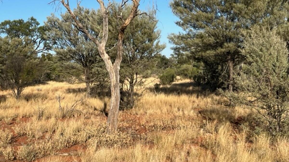 The Kullilli people have emerged as the buyers of Thargomindah Station in what is being described as a ground-breaking advance for native title holders. Picture supplied