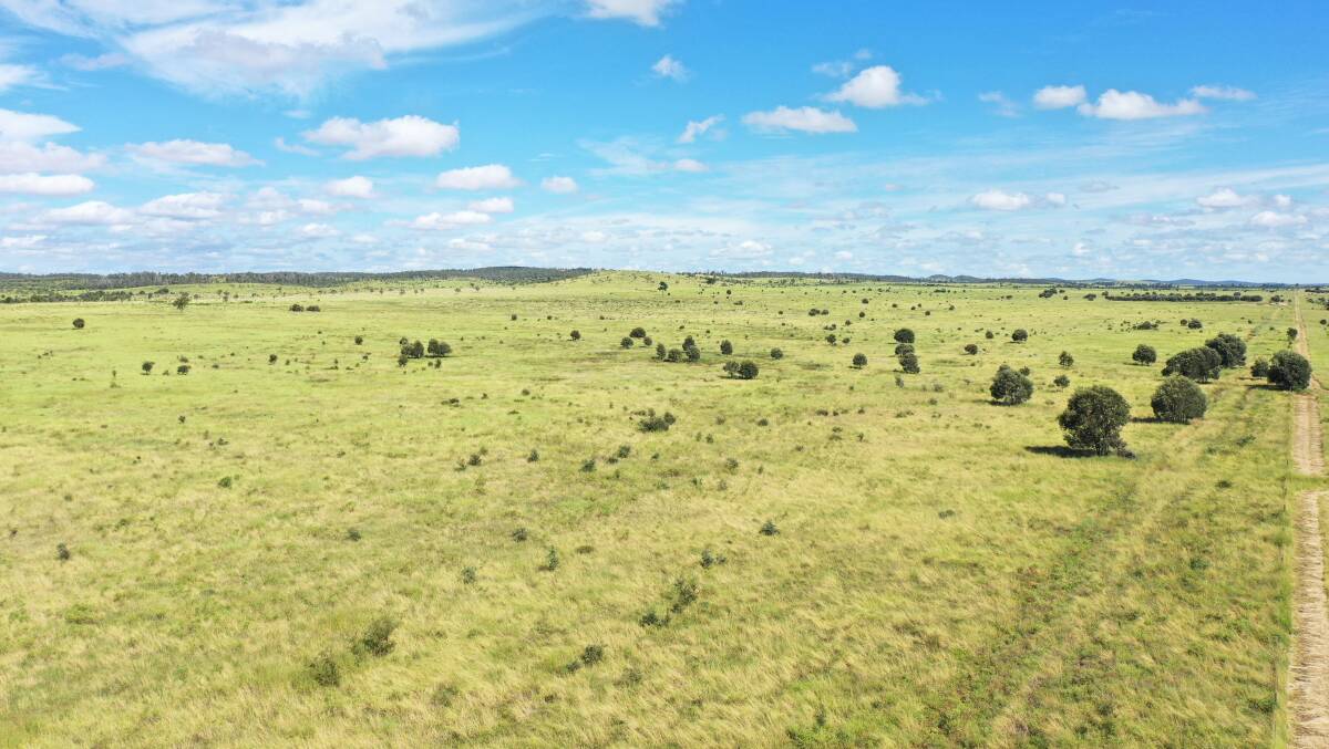 The property is described as lending itself to further development with high value irrigated crops and/or pastures. Picture - supplied