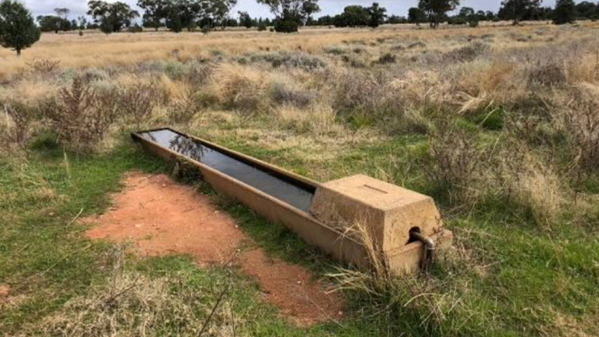 Wirrilah has seven large dame plus four troughs supplied from a main dam plus. Picture - supplied
