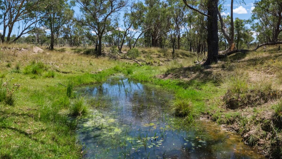 Stock water is provided by several semi-permanent or seasonal creeks. Picture supplied 