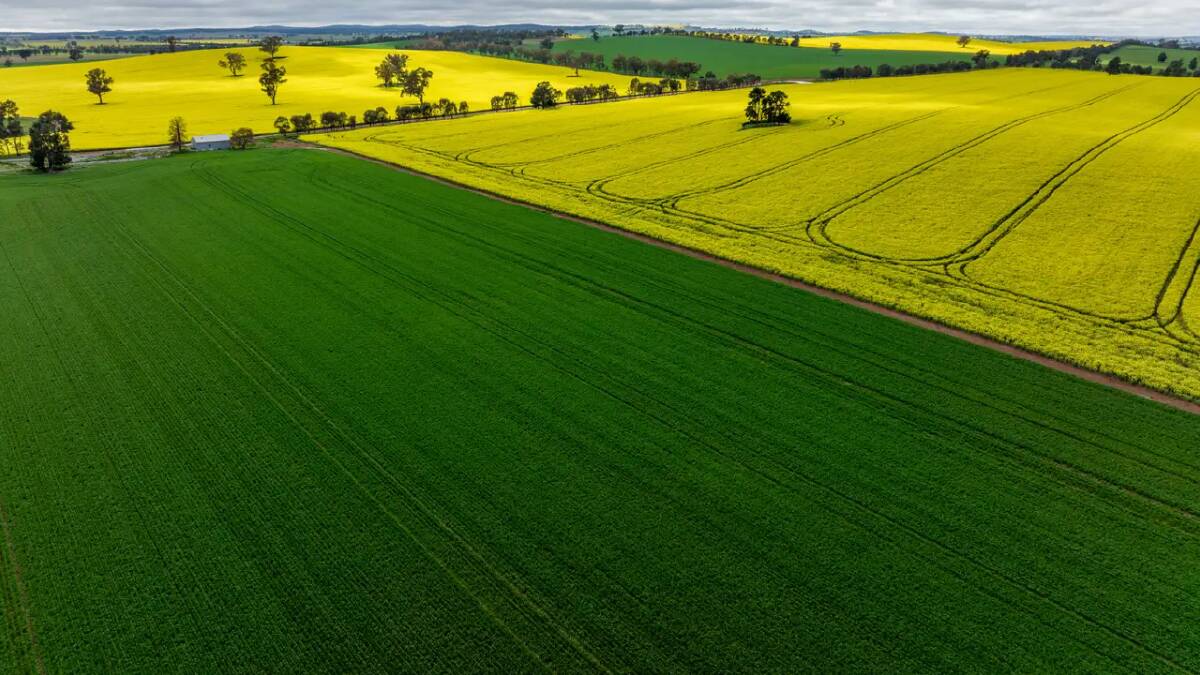 Junee Reefs district property Coolooli has sold following an expressions of interest program conducted by Ray White Rural. 