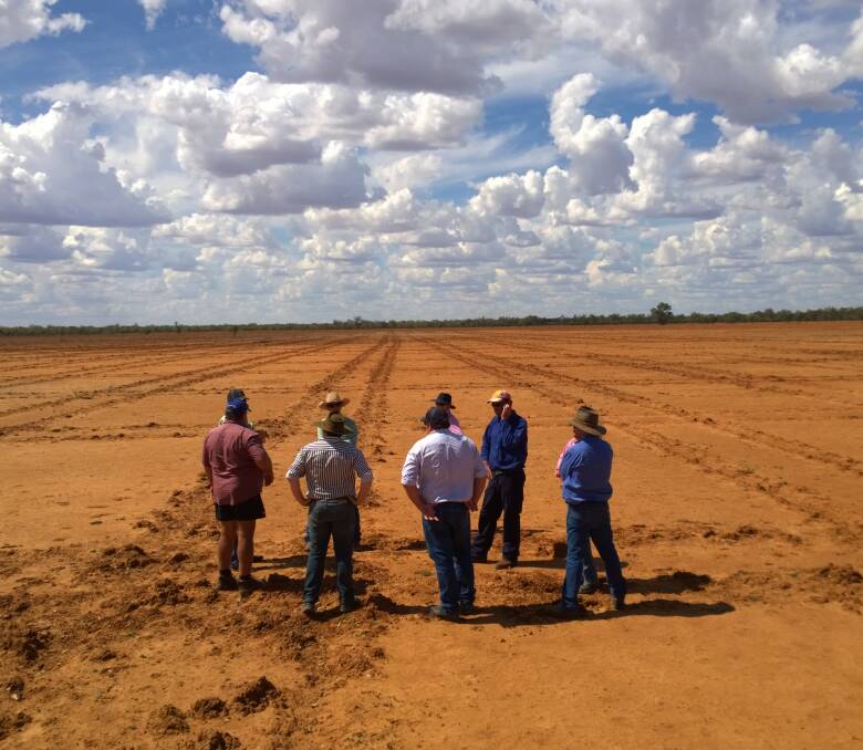 SOIL HEALTH: Landholders participating in the Claypan Rehabilitation and Soil Health Workshop checking out cross ripping on 127-hectares of clay pans at Wallal, Charleville.