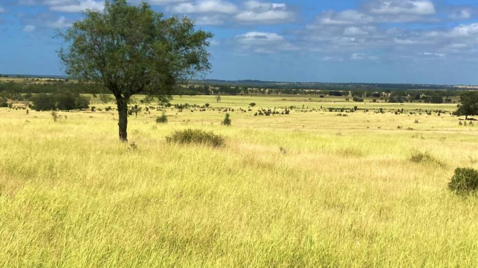 Maranoa property Nimity has been listed for sale with Nutrien Harcourts for $4.35 million.