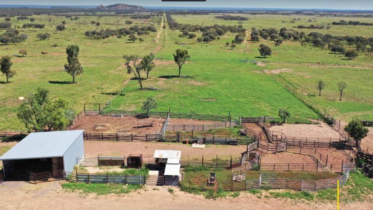 The steel set of cattle yards have a six way draft, crush, calf cradle and a hay shed. Picture - supplied