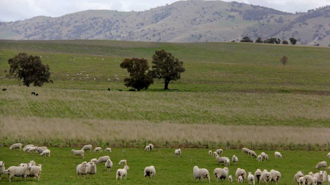 Southern Tablelands country continues to be in strong demand selling for $8046/acre.