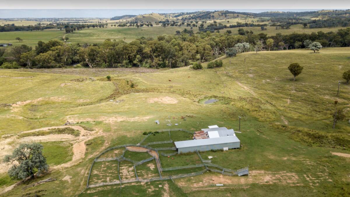The renovated four stand shearing shed has attached new sheep handling facilities. Picture supplied