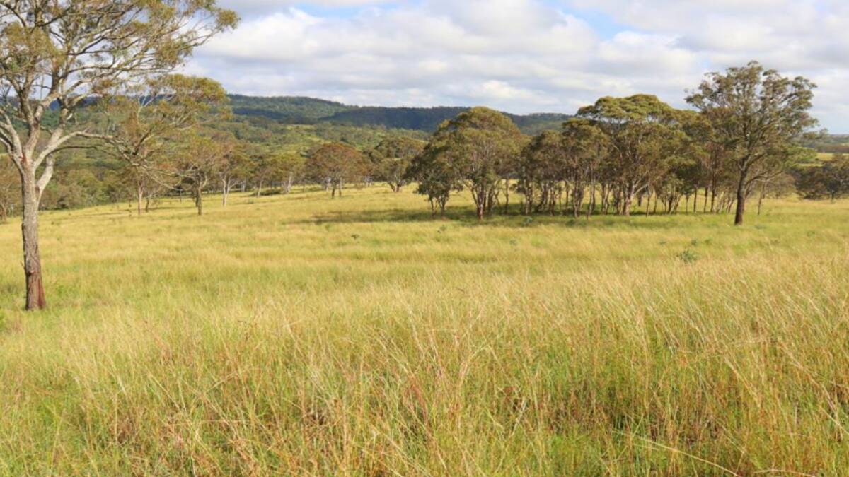 Bolongo is described as 129 hectares of good cattle country capable of running about 40 breeders. Picture supplied