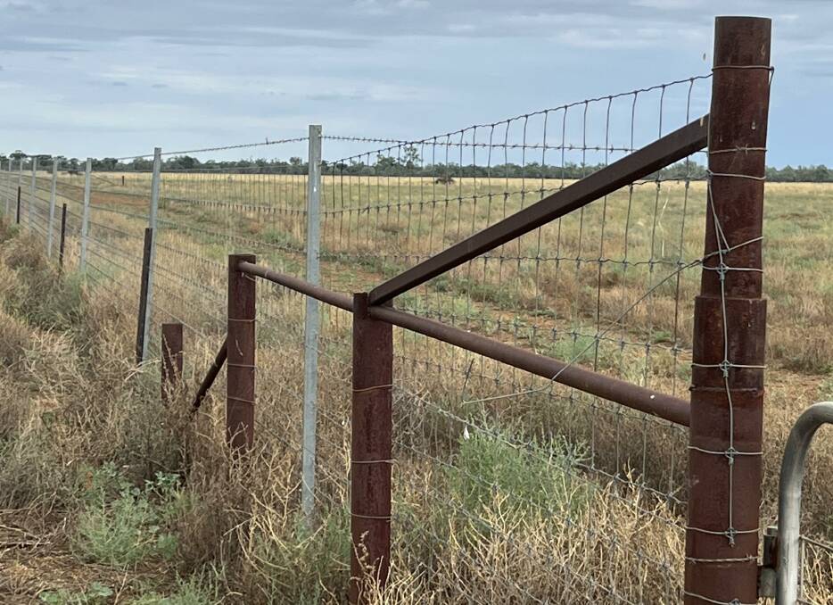Rosevale Station has about 30,500 hectares protected by an exclusion fence. Picture - supplied