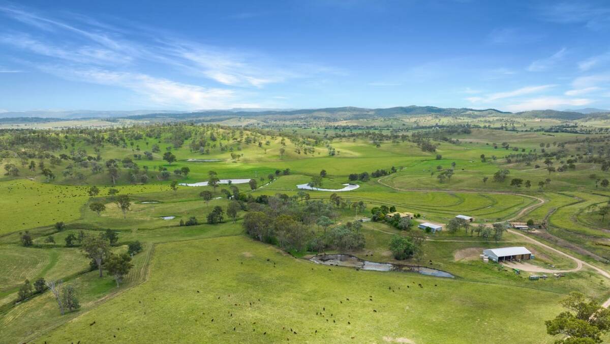 The property features fertile black soil, blue gum creek flats rising to well developed narrow leaf ironbark forest grazing. Picture - supplied.