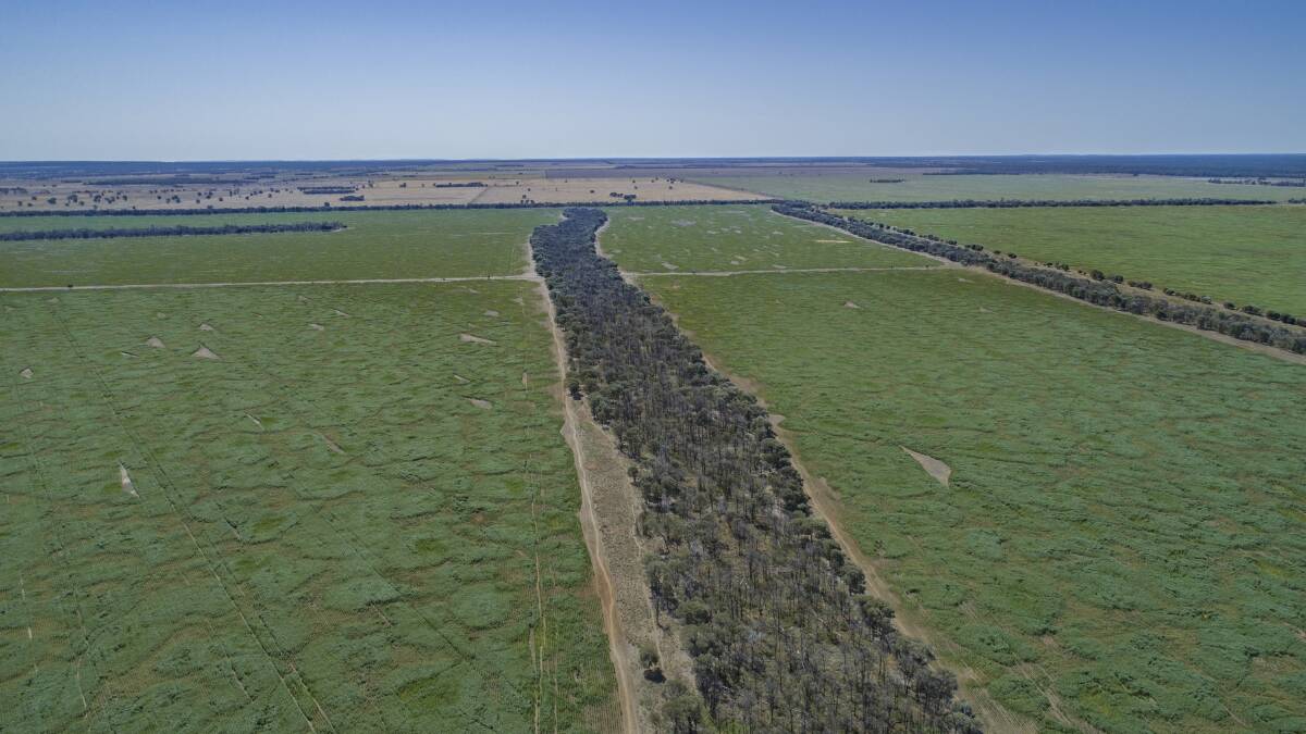 North Combarngo is divided into eight main paddocks with lane ways to the cattle yards.