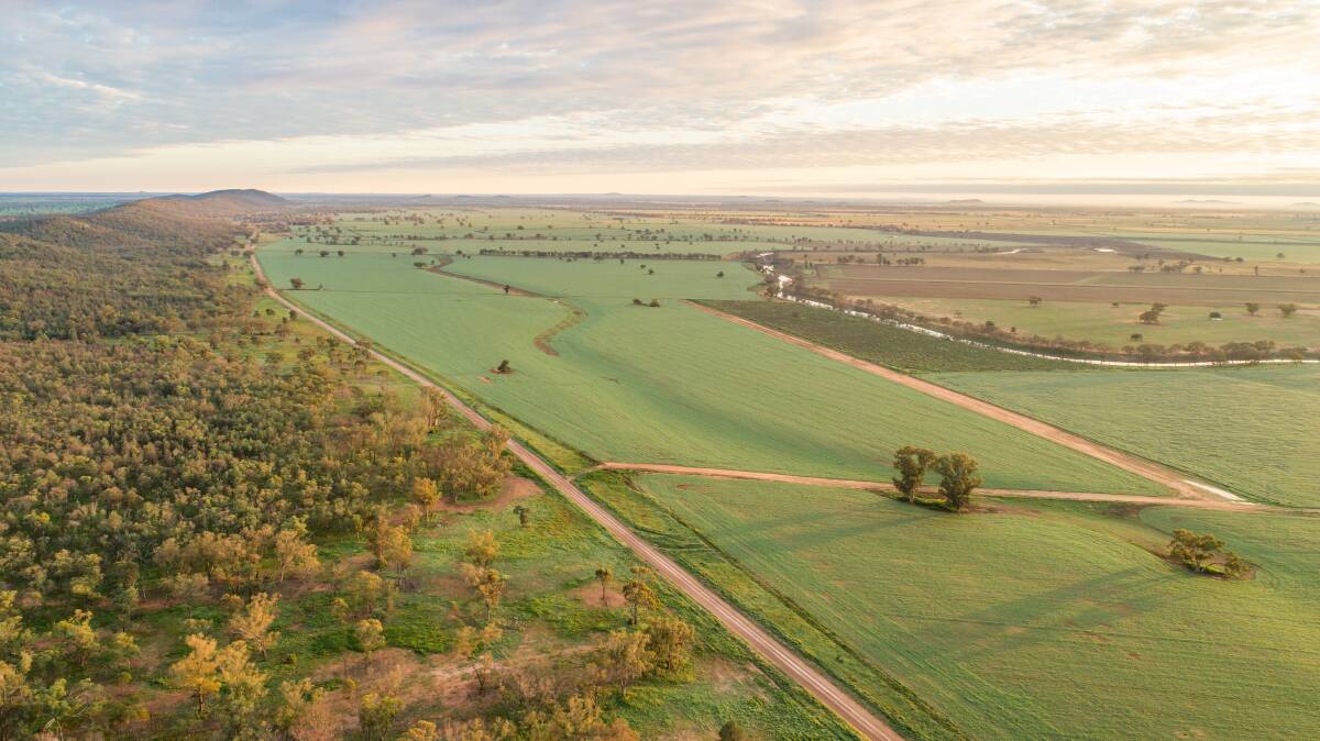 AAM Investment Group is selling its 14,074 hectare Sunshine Farms Aggregation in NSW's Lachlan Valley. Picture supplied