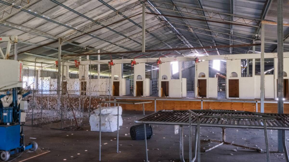 Runnymede features a nine stand shearing shed with an adjacent 1800 head capacity weather shed. Picture supplied