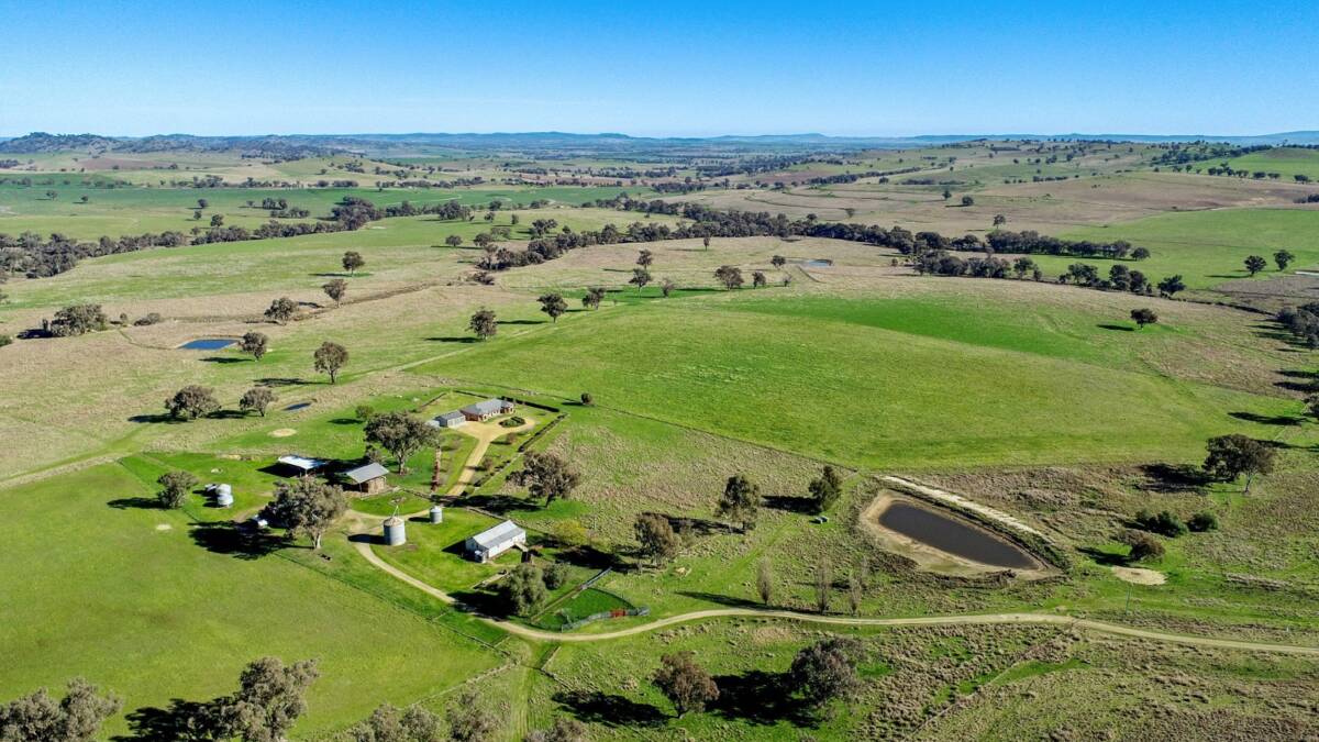 The 300 hectare (741 acre) Central West NSW property Wanstrow heads to auction with an indicative price guide of $4-$4.5 million. Picture supplied