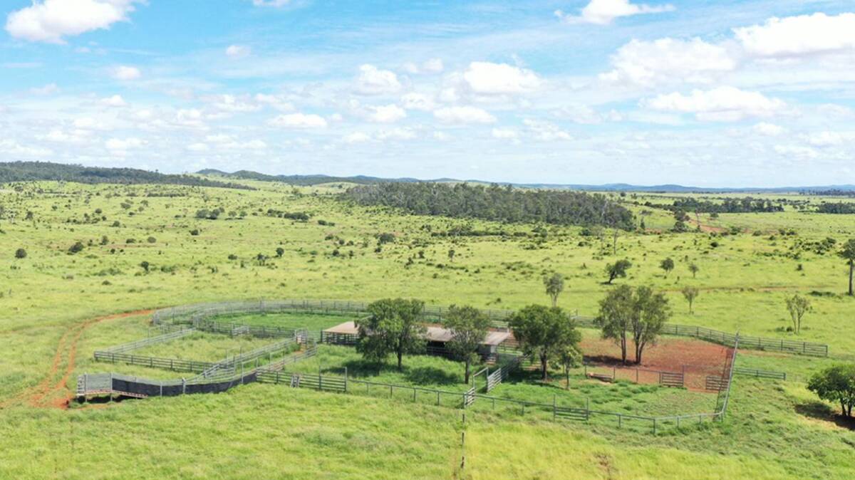 Negotiations are continuing on the 3234 hectare freehold cattle property Melaleuca. Picture - supplied