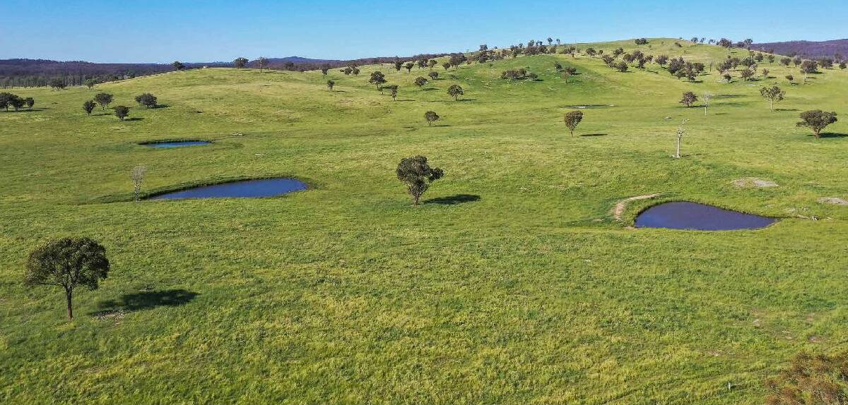 RAY WHITE RURAL: Longford will be auctioned by Ray White Rural in Armidale on December 18.