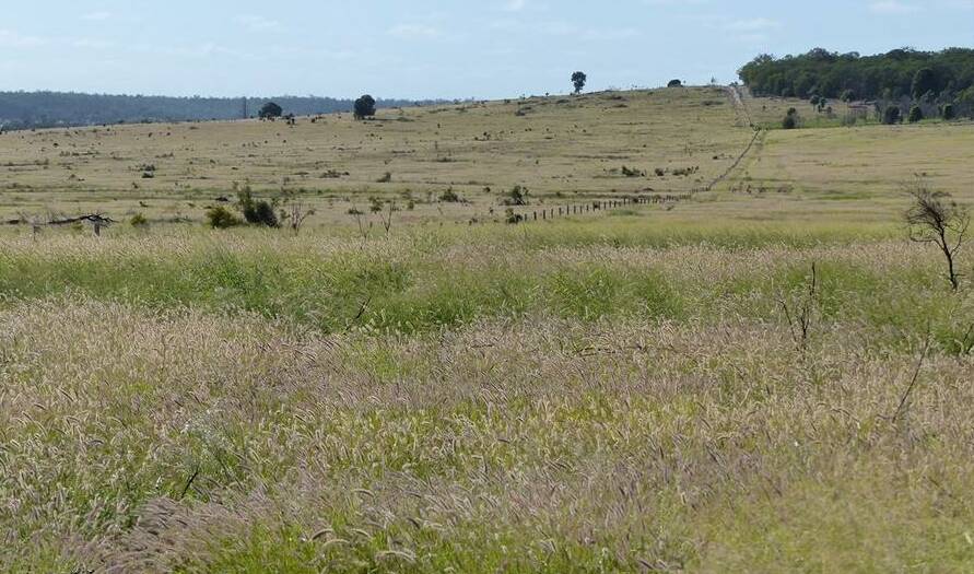 Box Flat is divided into 43 grazing and holding paddocks.