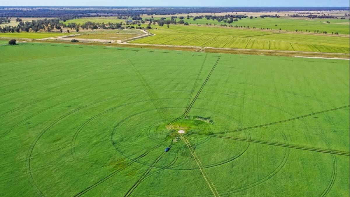 Talkook is a premium 2024 hectare (5001 acre) southern Riverina irrigation, cropping and grazing property. Picture supplied