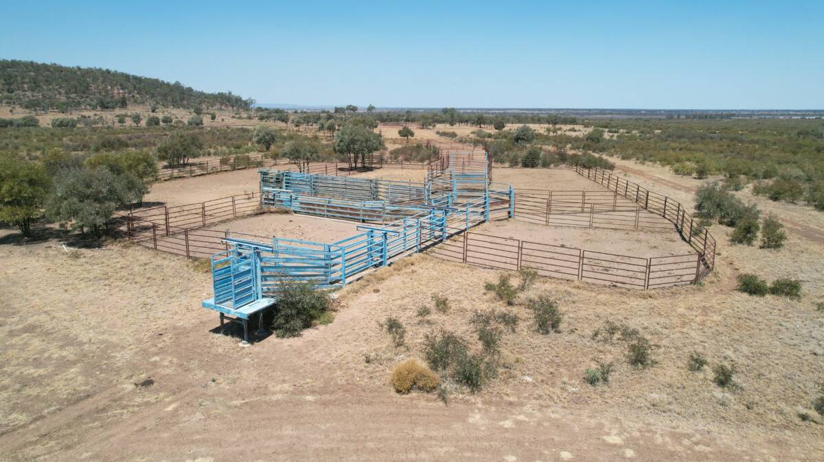 The 250 head capacity cattle yards have an eight-way draft, race, crush with a head bail and scales, a steel loading facility, and a concreted calf race with a cradle. Picture supplied