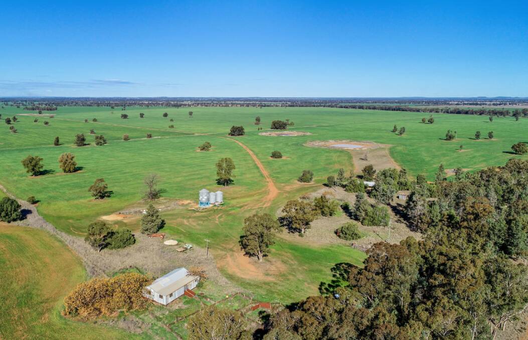 The 555 hectare Central West NSW property Omagh View has the ability to perform as a top class farming and/or grazing operation. Picture supplied