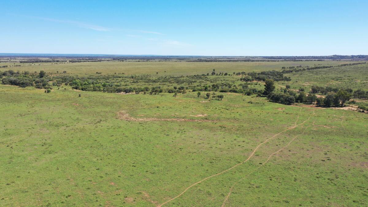 Improved pastures include buffet, green panic, urochloa, bambatsi, coach, seca and some native grasses. Picture - supplied
