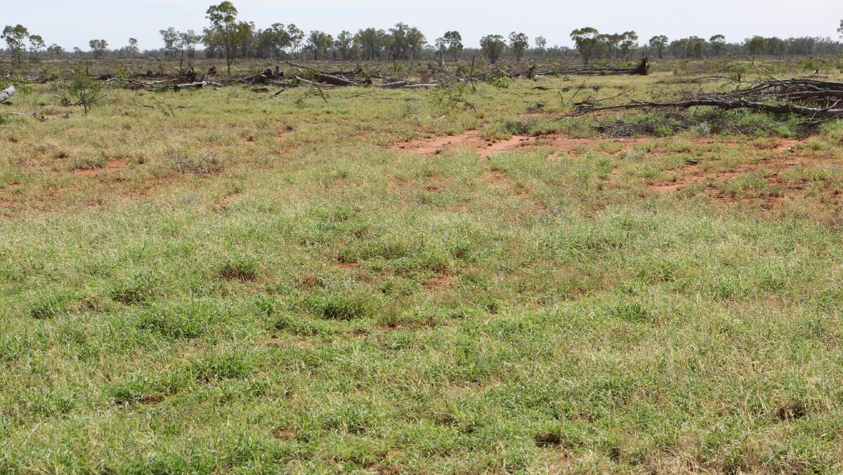 About 1200ha was re-pulled in 2017 leaving the property relatively clean of regrowth.