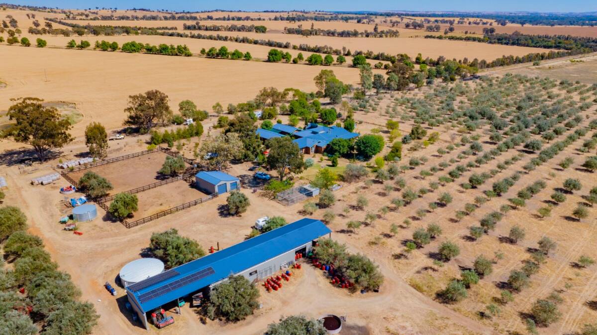Parafield Olives comprises of a highly productive 214 hectare property with an award winning 24ha olive grove. Picture supplied