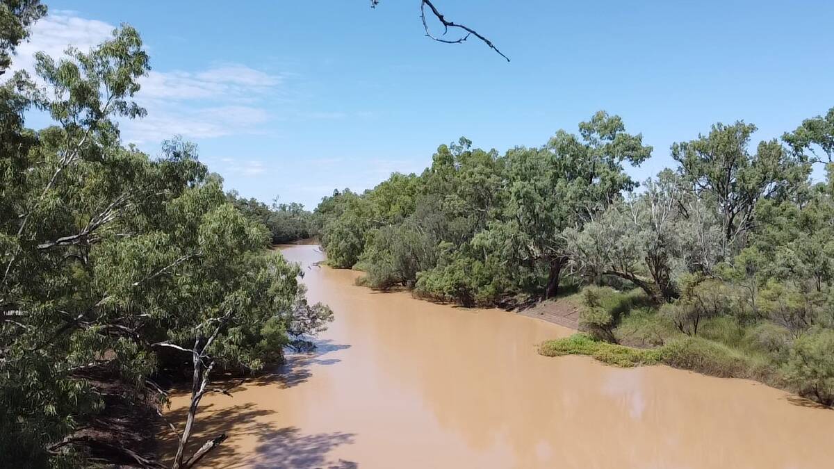 Raceview Station has about a 33km frontage to the Warrego River. Picture supplied