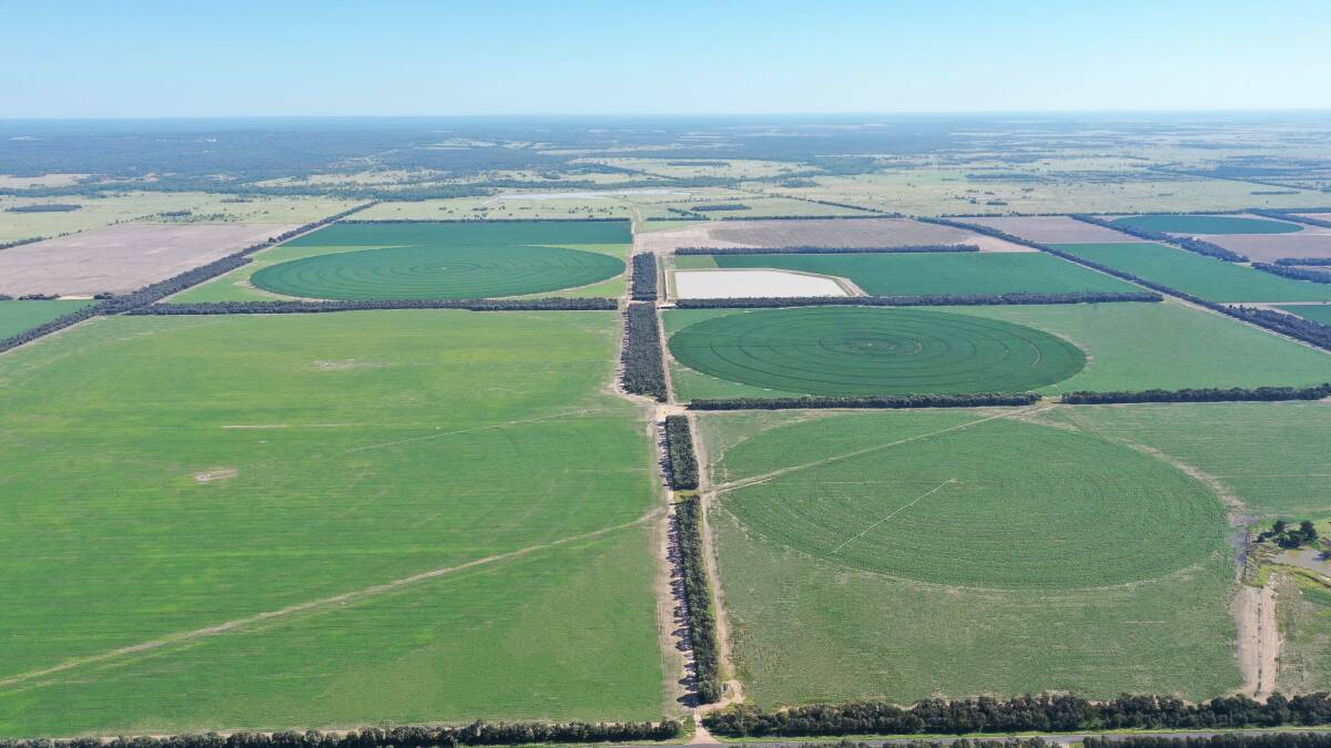The operation features six centre pivots, two flood areas and grazing country improved with bambatsi pasture. Picture supplied