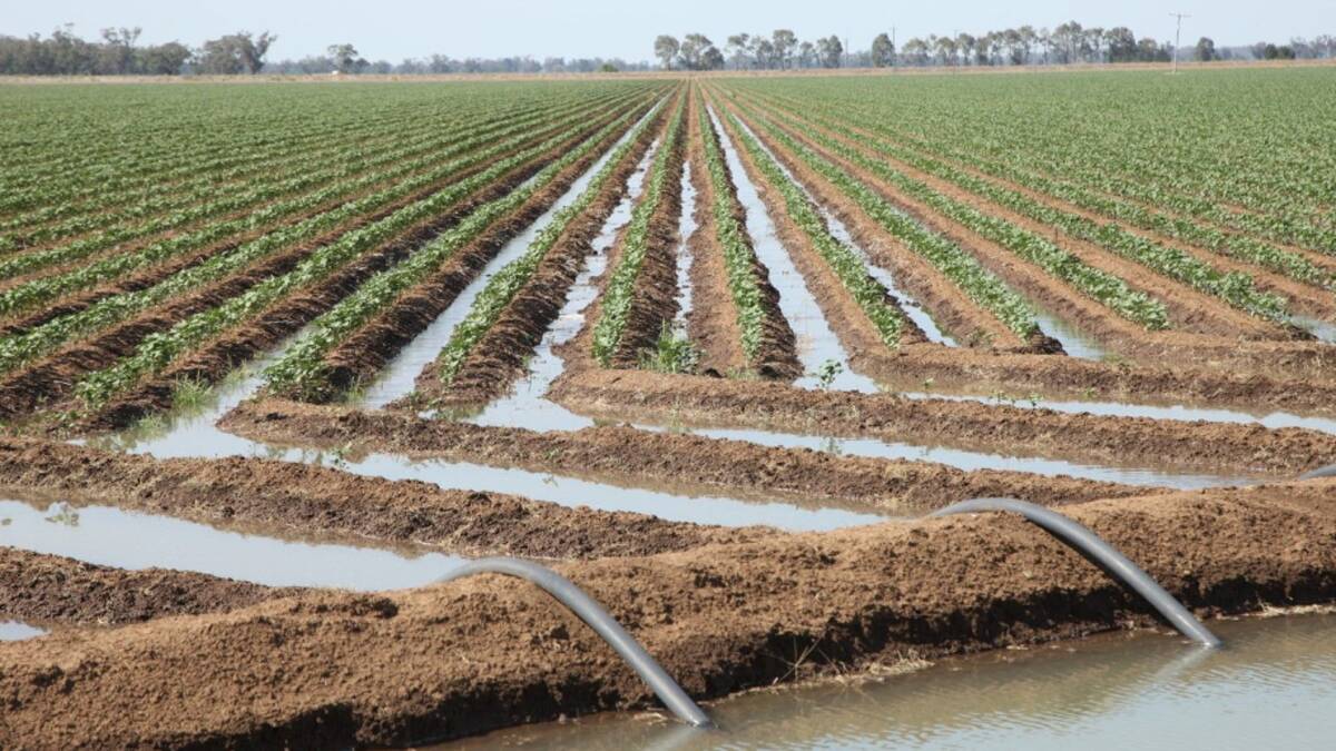 The property features 457 hectares of flood irrigation. Picture supplied