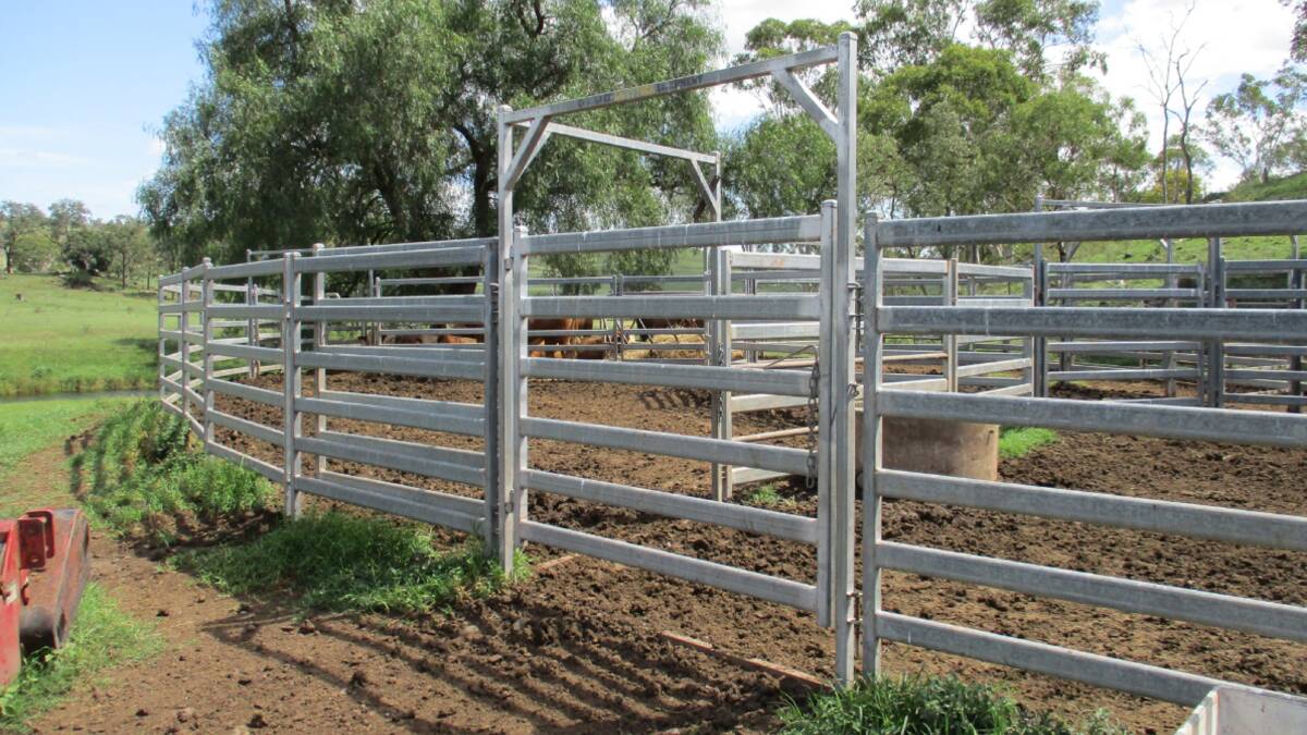 Nangur has an excellent set of steel cattle yards. Picture - supplied 