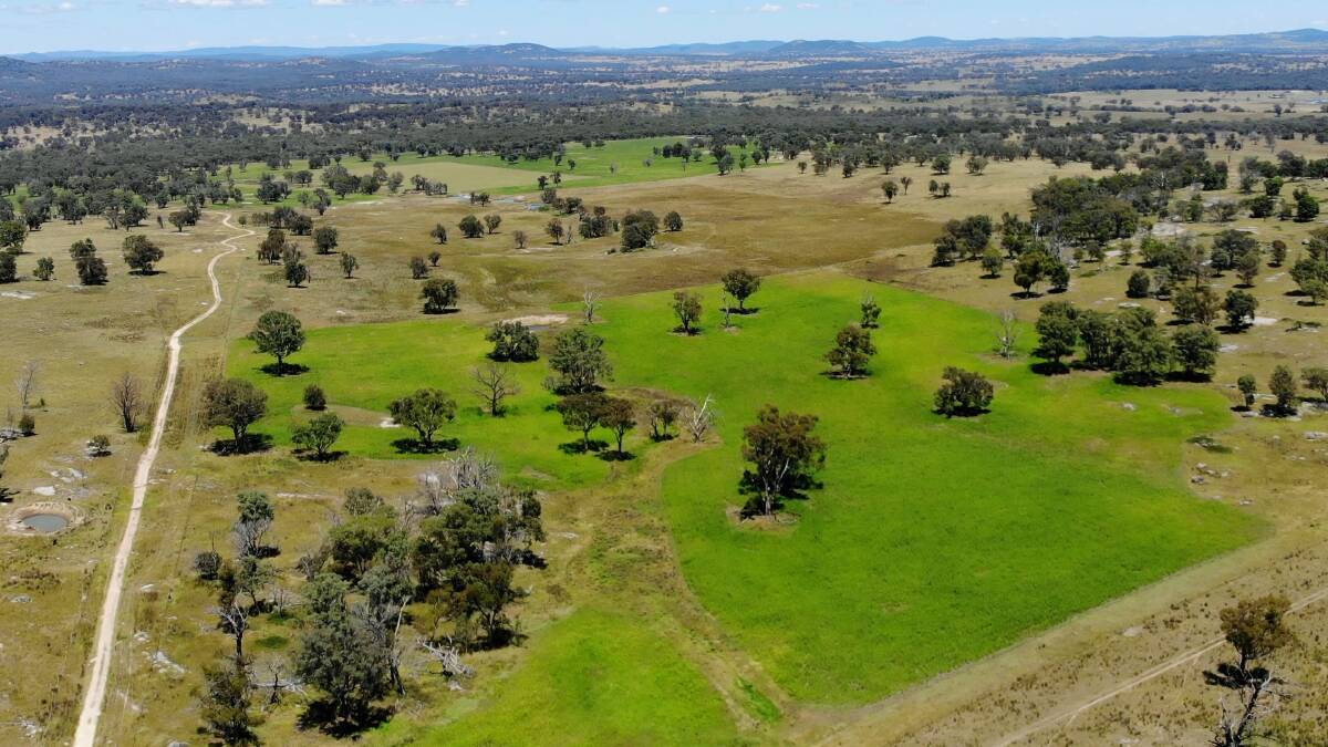 Runnymede is a productive 4468 hectare aggregation of five properties with the potential to host nine wind turbines. Picture supplied