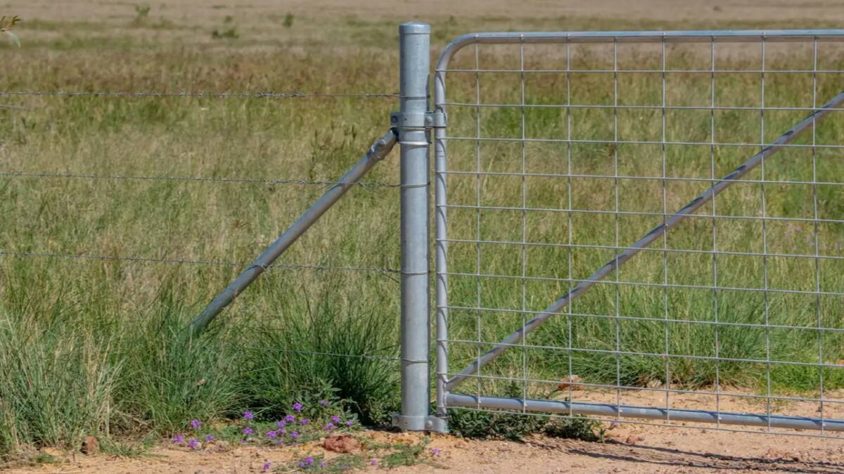Lachlan Downs is fenced into nine paddocks. Picture - supplied