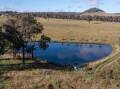 RAY WHITE RURAL: The well improved Guyra, NSW, property Bambi has sold at auction.