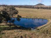 RAY WHITE RURAL: The well improved Guyra, NSW, property Bambi has sold at auction.