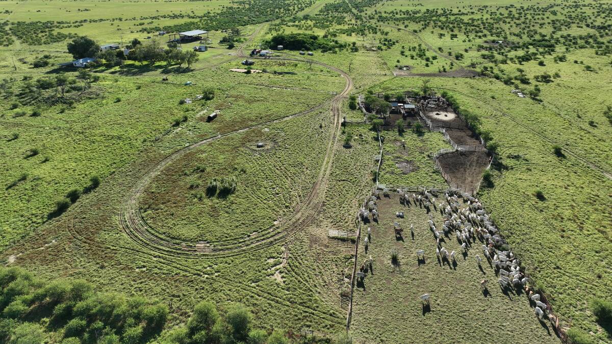 The equipped cattle yards are located adjacent to the homestead compound. Picture - supplied 