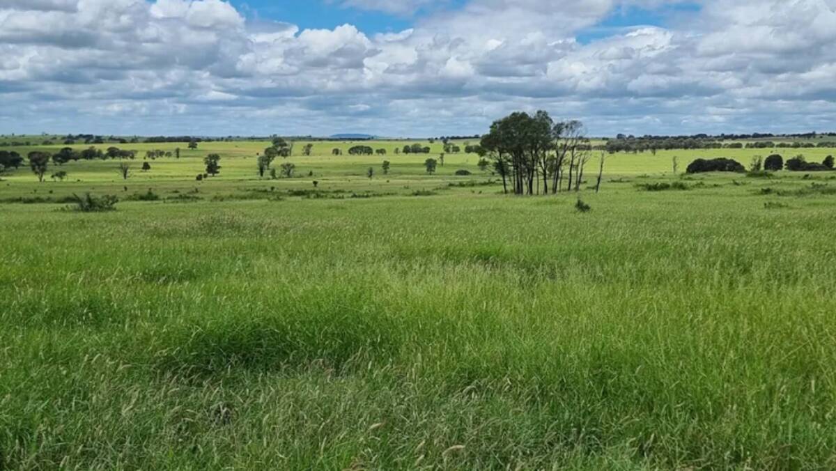 Pamaroo is fenced into 19 paddocks and is described as an easy to run operation. Picture supplied 