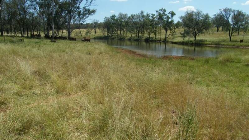 Glencoe is descibed as a very well watered property located 75km north west of Eidsvold.