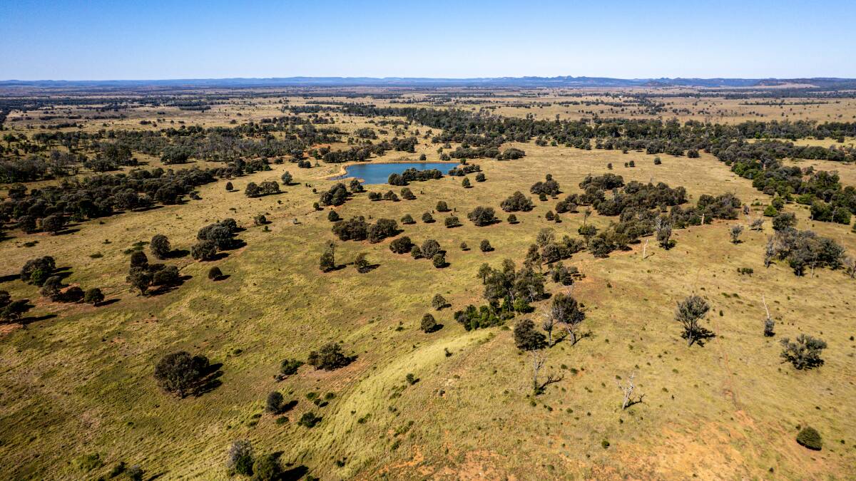 Theodore cattle property Malo has sold at a Hourn and Bishop Qld auction for a stellar $3142/acre.