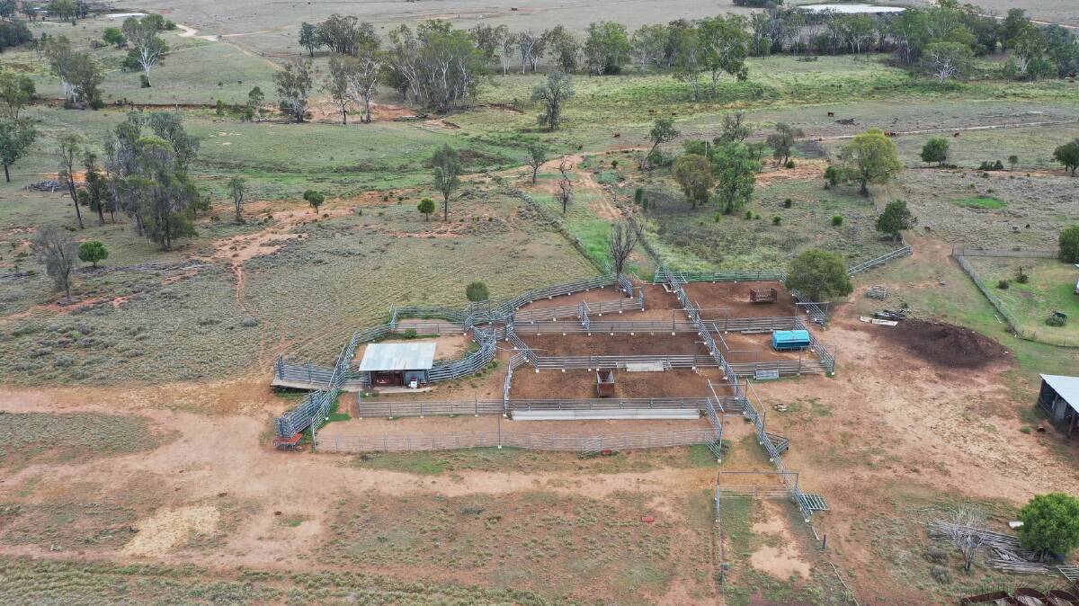 The impressive steel cattle yards have an undercover working area with a race, RPM crush with scales, Thompson Longhorn calf cradle, crush and pound. Picture - supplied