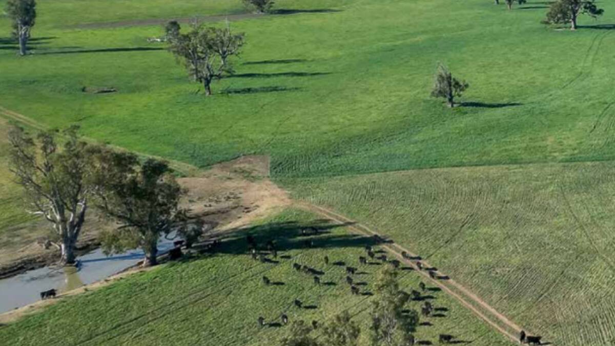 Productive properties Swanton and Menedebri jointly cover 1830 hectares of excellent quality country on the Peel River. Picture supplied