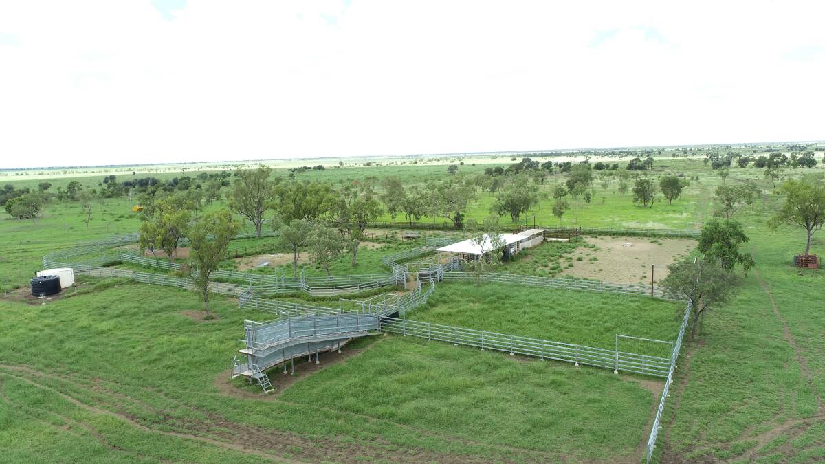 Slogan Downs is 15,604 hectares of extremely well developed, premium country. Picture - supplied