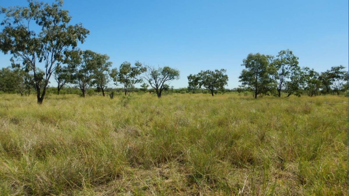 BUrrendown South has 1277 hectares of dryland cultivation and 2229ha of grazing land. Photo - supplied