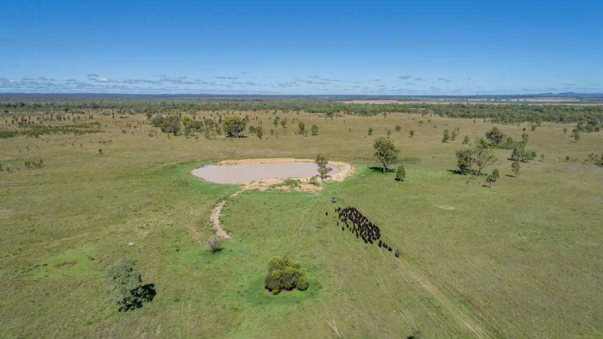 Lachlan Downs is a 1660 hectare property currently used to principally carry high value Wagyu females. Picture - supplied