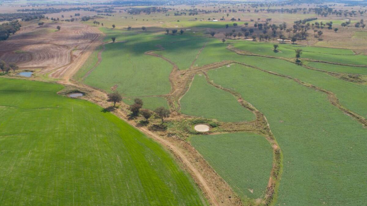 Some 1102 hectares of Braemar is considered arable. Picture - supplied 