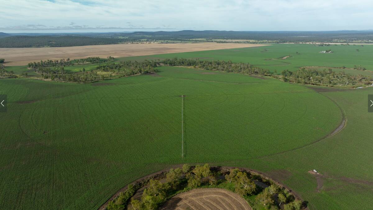 Boundary Farms has 144 hectares under centre pivot irrigation. Picture supplied