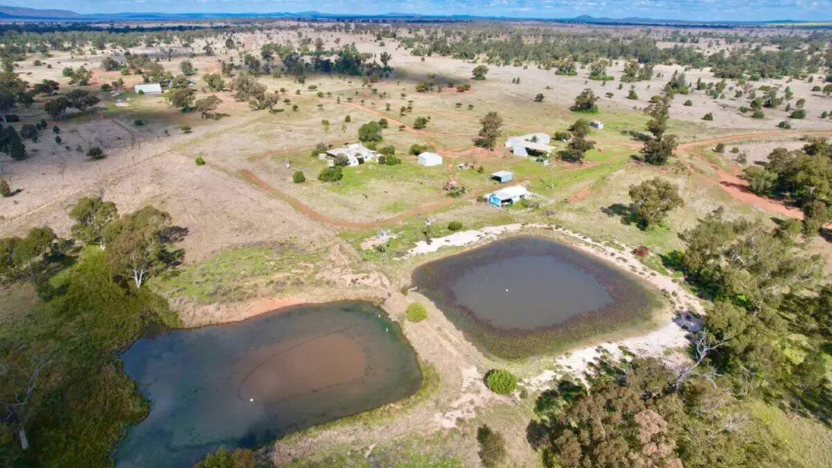 The 4901 hectare property Avalon will be auctioned by Ray White Rural in Condobolin on October 26. 