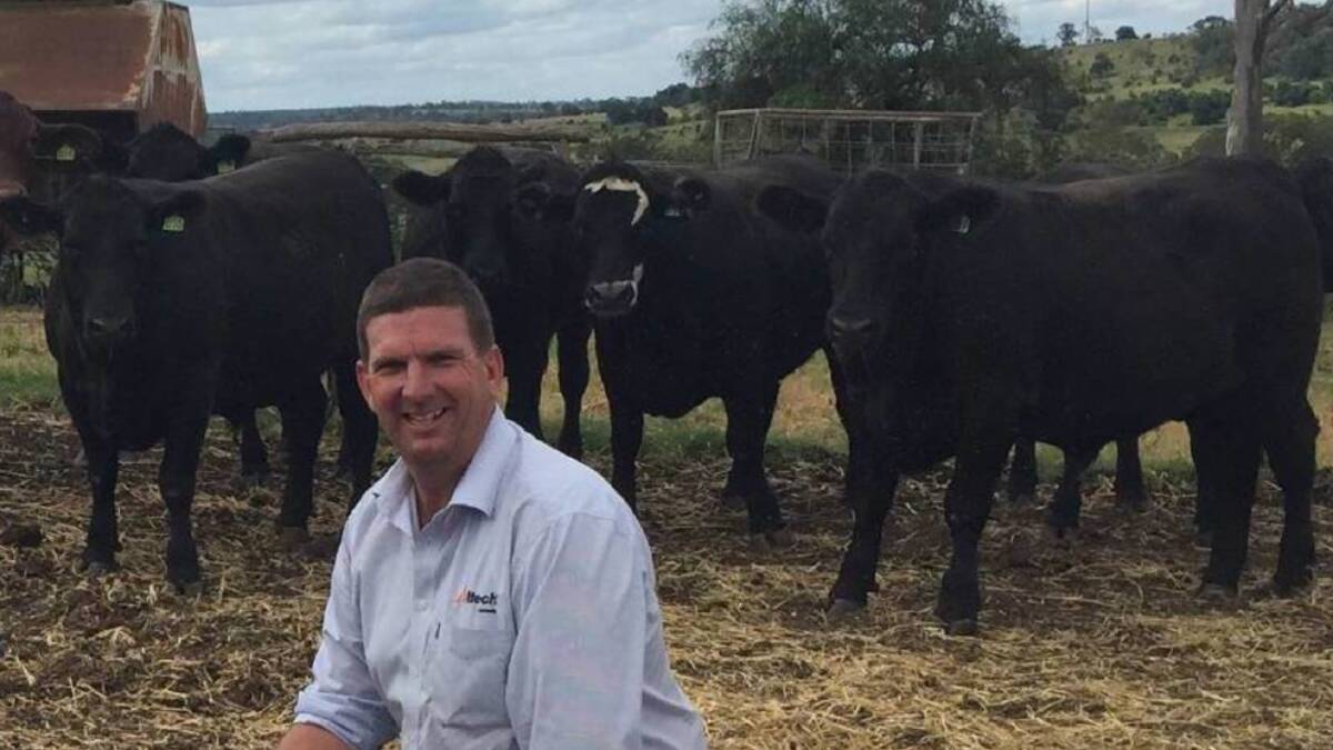 Bloat is most common in feedlot cattle, but this year's wet and cool spring across eastern Australia makes it a big risk in pasture fed operations, says livestock nutrition adviser Toby Doak. 