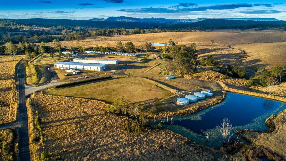 An exceptional blueberry farm with a state of the art packing shed has hit the market with price expectations of more than $8 million. Picture supplied