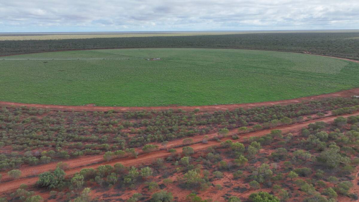 A large-scale grazing and irrigation operation in the highly regarded Kimberley region is on the market. Picture - supplied