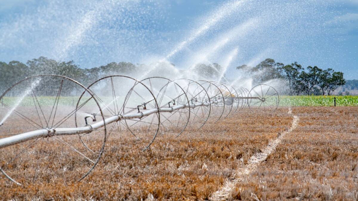 The good quality irrigation infrastructure includes five hydrants and two 240m wheel-line irrigators. Picture supplied